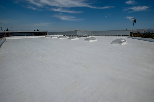 Best Asphalt Shingle Roofing  in Dearborn, MI