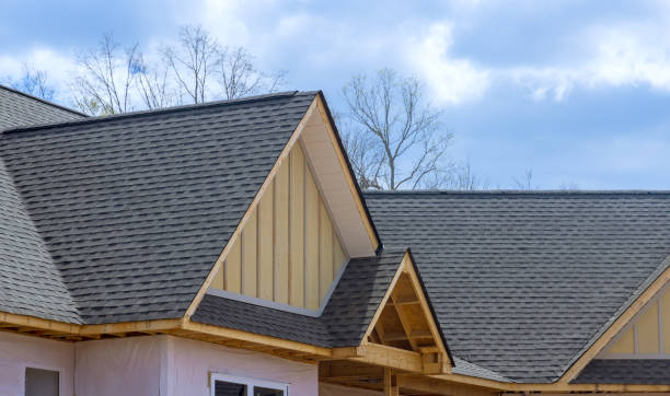 Best Roof Moss and Algae Removal  in Dearborn, MI